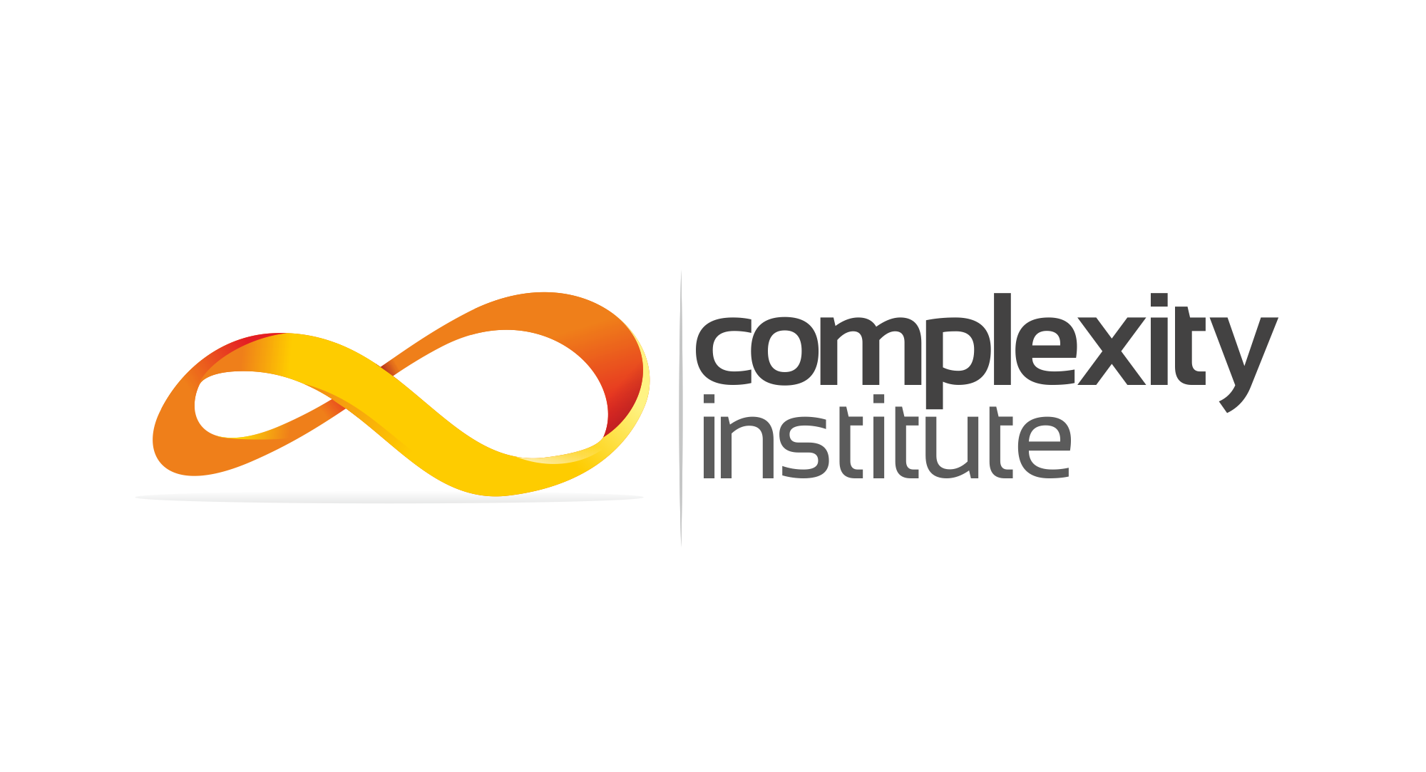 Complexity Institute